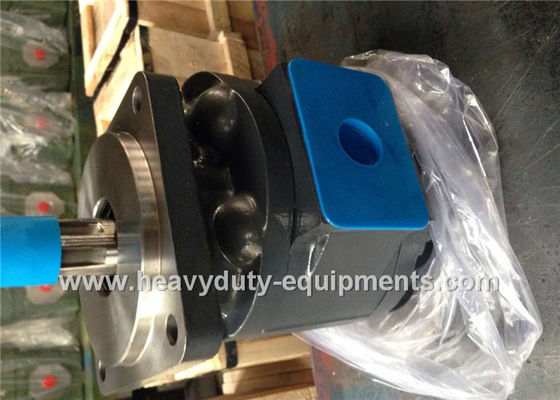 चीन Engineering Construction Equipment Spare Parts Industrial Hydraulic Pumps LW280 WZ3025 51 Shaft Extension आपूर्तिकर्ता
